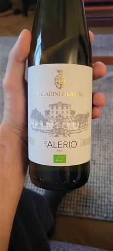 Puglia Alezio Saladini Pilastri 2024