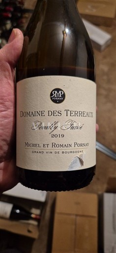 Burgundsko Pouilly-fuissé Domaine S Terreaus 2019