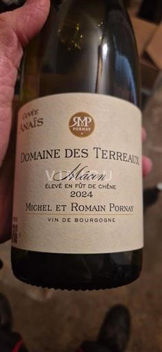 Borgonha Mâcon e mâcon-villages Domaine S Terreaus Anaïs 2024