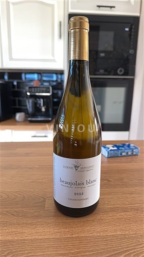 Beaujolais Ludovic Montginot 2023