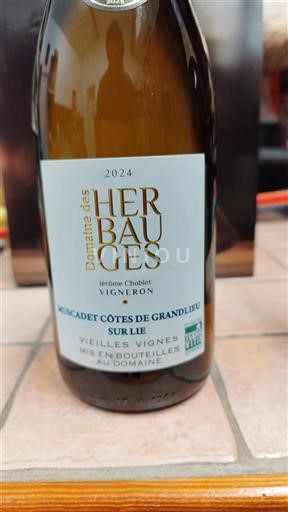 Loire Valley Muscadet-Côtes-de-Grand-Lieu Domaine S Herbauges Vielles Vignes 2024