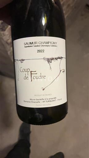 Vale do Loire Saumur-champigny Domaine Choncelas Coup de Foudre 2022