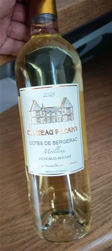 Sudoeste Côtes de Bergerac Château Pecany 2022