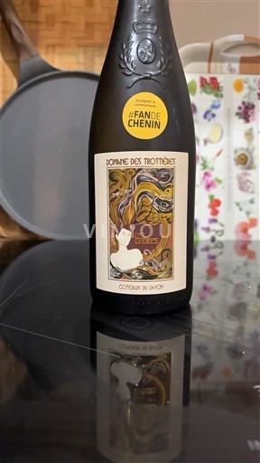 Vale do Loire Coteaux-du-layon Domaine S Trottières Les Bruyères 2022