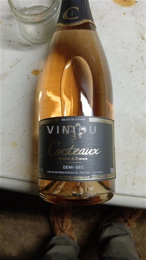 Loire Valley Crémant de Loire Coteaux Armille & Franck Non-Vintage