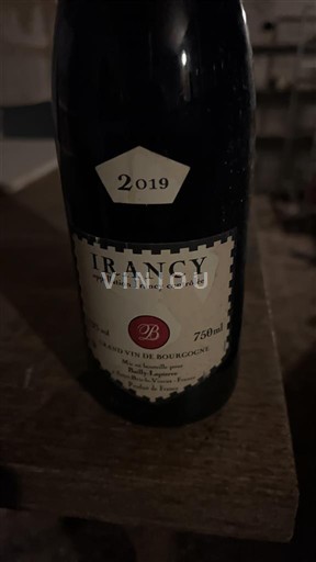 Bourgogne Irancy Saint-Bris 2019