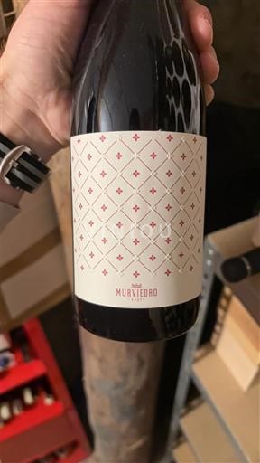 Cộng đồng Valencia Utiel-Requena Murviedro 2020