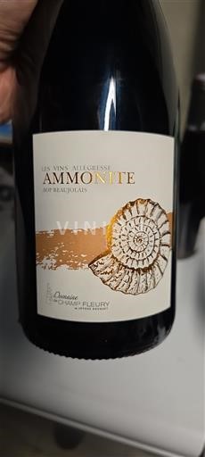 Beaujolais Domaine Champ Fleury Ammonite 2021