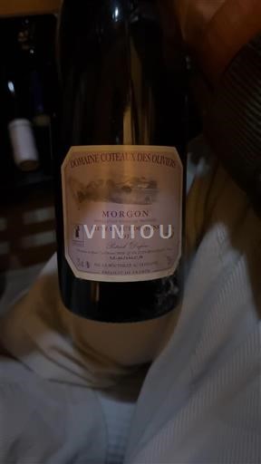 Beaujolais Morgon Domaine Coteaux Des Oliviers Les Vignes du Chêne 2017