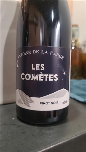 Vine Rouge sec Les Comètes Antoine de la Farge 2018 Frankrig Loire-dalen Ikke specificeret AOC