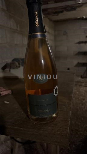 Loire Valley Crémant de Loire Cleotia Non-Vintage