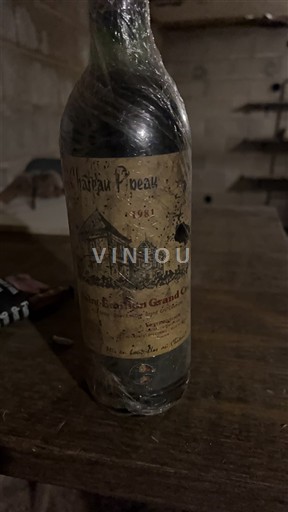 Bordeaux Saint-Émilion Grand Cru Grand Cru Château Pipeau 1981