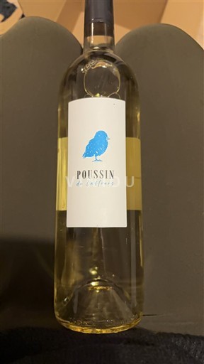 Sudoeste Gaillac Lestours Poussin 2024