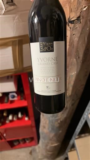 Vaud Non specificato Grand Cru Les Vignes d'Or Pinot Noir 2020