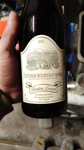 Burgundy Coteaux Bourguignons Bastien Carron 2023
