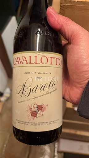 Piemonte Barolo Cavallotto Bricco Boschis 1985