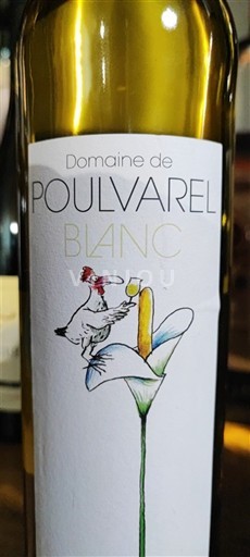 Linguadoca e Rossiglione Coteaux del Ponte di Gard Domaine Poulvarel Blanc 2023