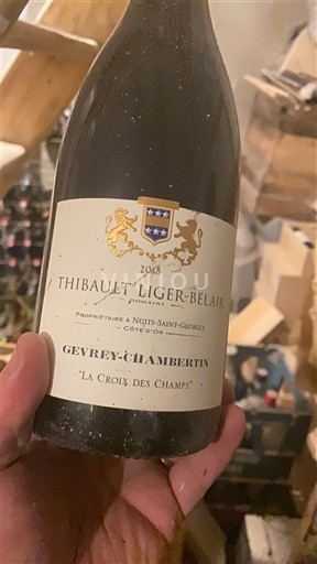 Burgundi Gevrey-Chambertin Thibault Liger-Belair La Croix des Champs 2018