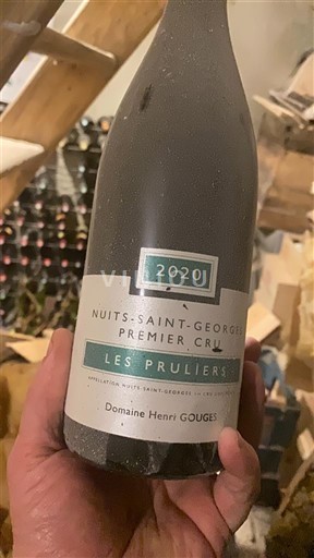 Burgundy Nuits-Saint-Georges Premier Cru Domaine Henri Gouges Les Pruliers 2020