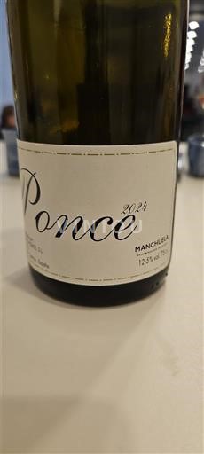 Castilien-La Mancha Manchuela Ponce 2024