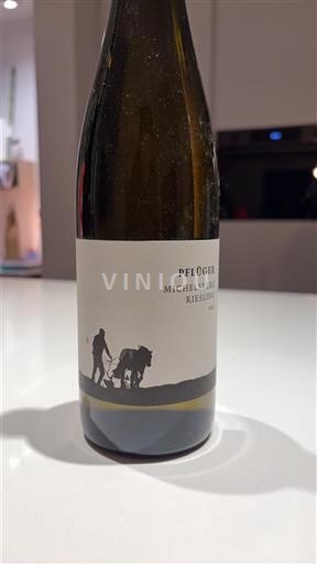 Pfalz Pflüger Michelsberg 2015