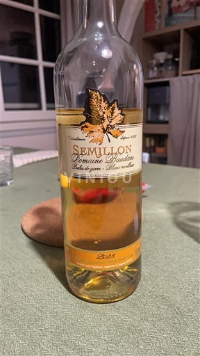 Lounais-Ranska Comté Tolosan Domaine Baudare Sémillon 2023
