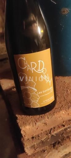 Valle della Loira Urfé Le Clos de Chozieux Les Terrinats 2024