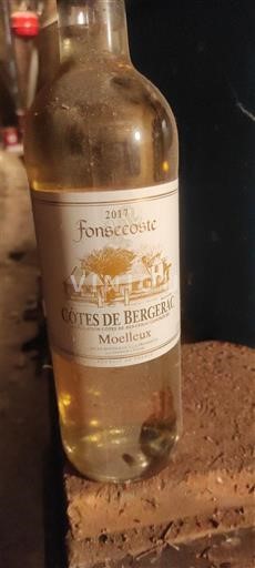 Tây Nam Côtes-de-bergerac Fonsecoste 2017