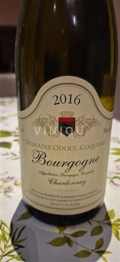 Borgogna Domaine Odoul-Coquard 2016