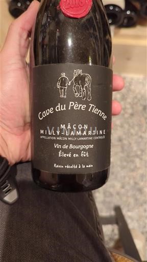 Borgonha Mâcon e mâcon-villages Cave du Père Tienne 2018