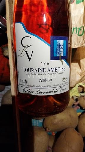 Valle della Loira Touraine-Amboise Cellier Léonard de Vinci 2016