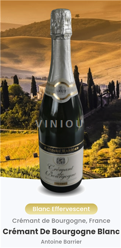 Borgonha Crémant da Borgonha Antoine Barrier Não Sazonado