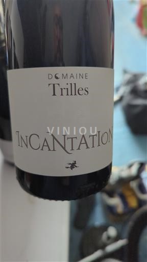 Roussillon Côtes du Roussillon Domaine Trilles Incantation 2023