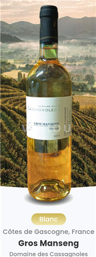 Sudoeste Côtes de Gascogne Domaine S Cassagnoles Gros Manseng Moelleux 2024