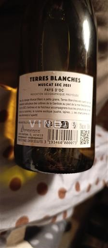 Languedoc a Roussillon Pays d'Oc Terres Blanches 2021