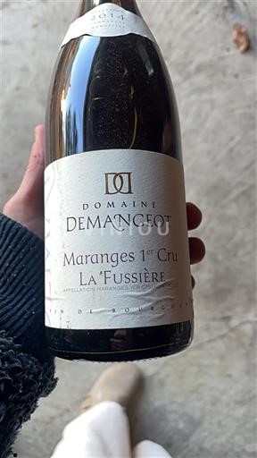 Borgoña No especificado Premier Cru Domaine Mangeot La Fussière 2011