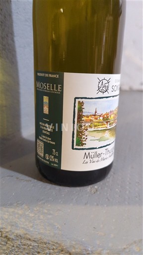 Lotharingen Mosel Domaine Sontag Müller-Thurgau 2024