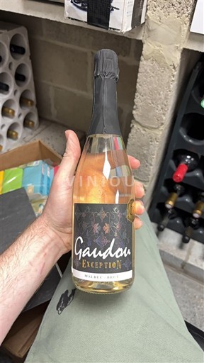 Sudoeste No especificado Gaudou Exception 2025