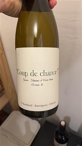 Loirevallei Niet gespecificeerd Antoine, Stéphane & Olivier Rivière Coup de chance! (Tome 1) Niet-geïntegreerd