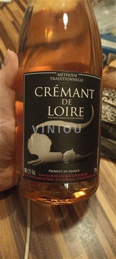 Valle della Loira Crémant-de-Loire Domaine Des Ormes Senza annata