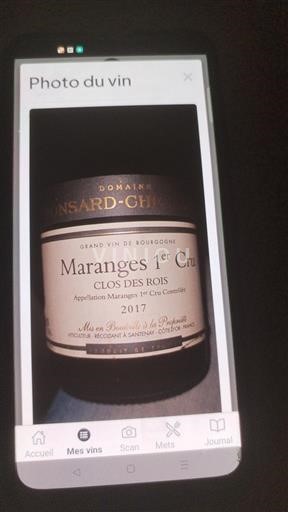 Wines Rouge sec Clos des Rois Domaine Mansard-Chevalier 2017 France Burgundy Unspecified AOC Premier Cru