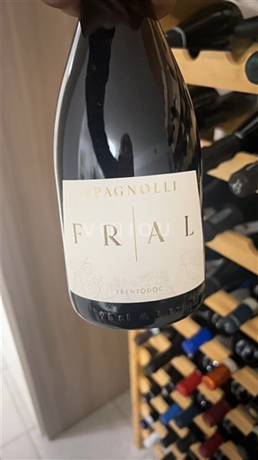 Wines of Trentino-Alto Adige Unspecified Spagnolli Fral Non-Vintage