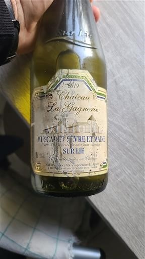 Вина Blanc sec Château La Gagnerie 2019 Франція Луарська долина Мюскаде Севр і Мэн AOC