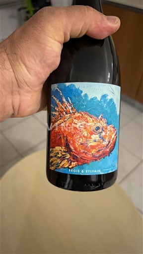 Languedoc ja Roussillon Pays d'Oc Régis & Sylvain Ei vuosikertaa