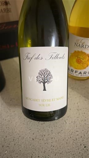 Vale do Loire Muscadet-sèvre-et-maine Fief des Tilleuls Não Sazonado