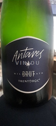 Trentino-Alto Adige Vini del Trentino-Alto Adige Antares Millesimato 2019