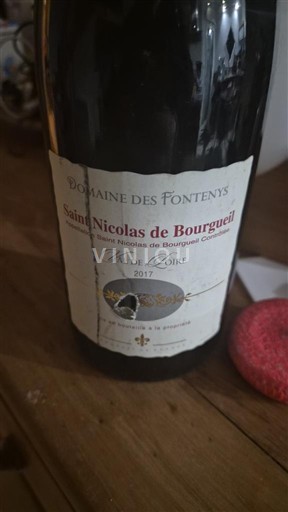 Wines Rouge sec Domaine S Fontenys 2017 France Loire Valley Saint-Nicolas-de-Bourgueil AOC