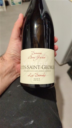 Wines Rouge sec Les Damodes Domaine Benoît Gicqueau 2022 France Burgundy Nuits-Saint-Georges AOC