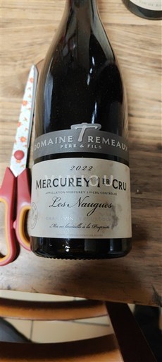 Borgoña No especificado Premier Cru Domaine Trémeaux Les Naugues 2022