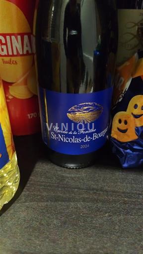 Viner Rouge sec Cuvée de la Terreuse 2024 Frankrike Loiredalen Saint-Nicolas-De-Bourgueil AOC